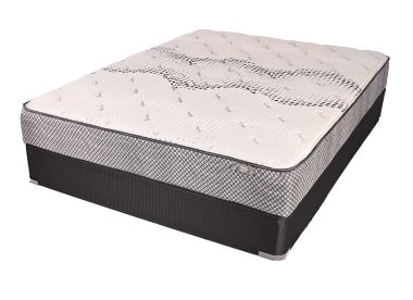 Robin Twin Mattress Set