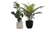 artificial plants
